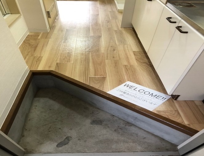 ロジュマンＮＳ　Ｂ棟1階 玄関