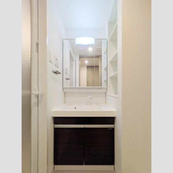 S-RESIDENCE東浦和agua105号室 洗面