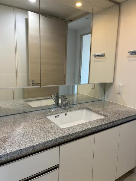 ザ・パークハウス西新宿タワー６０13階 洗面