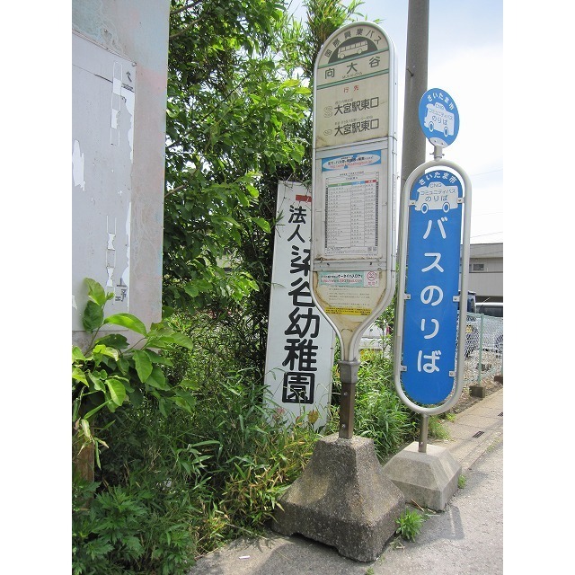 デュラカーサ 見沼 周辺