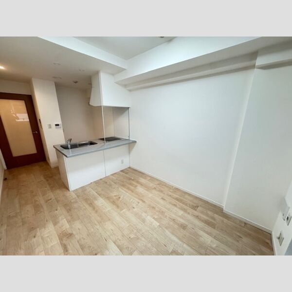 カスタリア銀座Ⅲ リビング