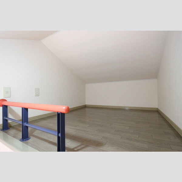 エクセル207号室 ロフト