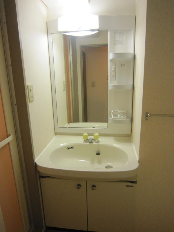 セイコーガーデンⅩⅠ大塚9階 洗面