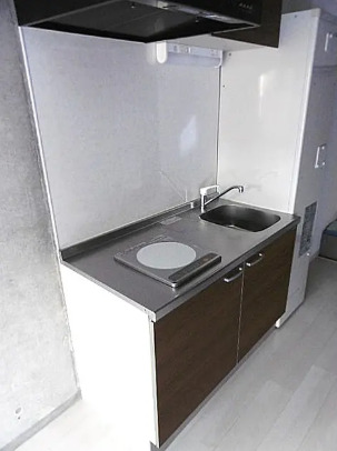 レガリア新丸子401号室 ※反転タイプのお部屋の参考写真となります。現況優先です。