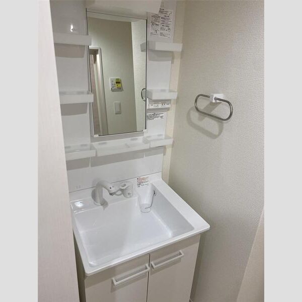 リーブルファイン大成町102号室 洗面