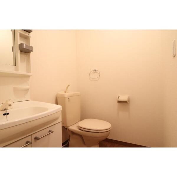 アルテ・K201号室 洗面
