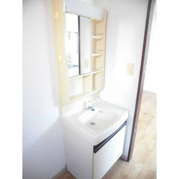 フラットエス0105号室 洗面