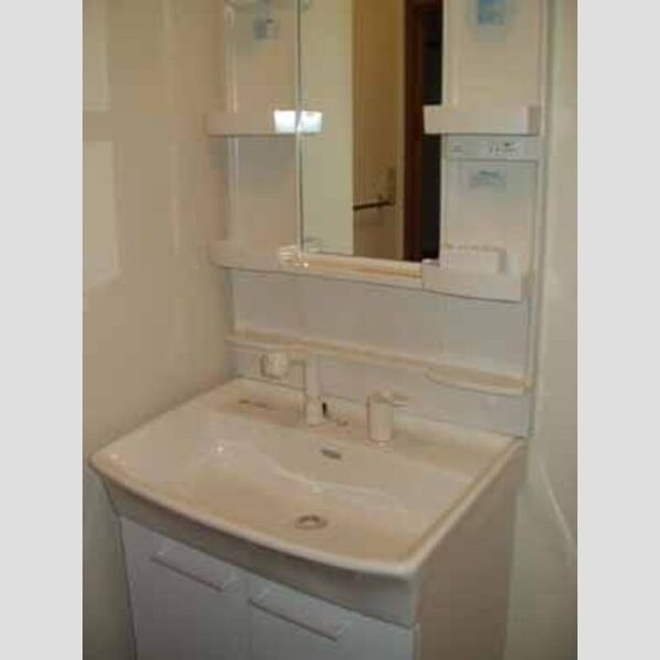 リビングタウン大和南　B202号室 洗髪洗面化粧台