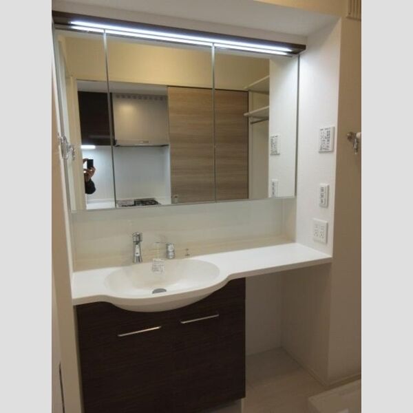 アンジュール大谷口305号室 洗面化粧台