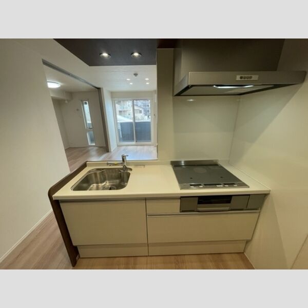 プランドール(富士見)205号室 システムキッチン