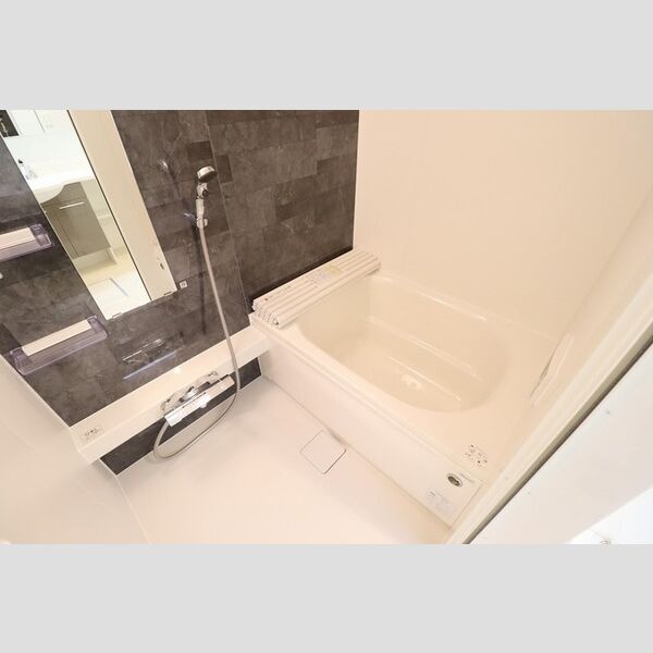 D-Style境201号室 バスルーム