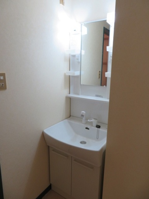 メゾン欅0101号室 洗面