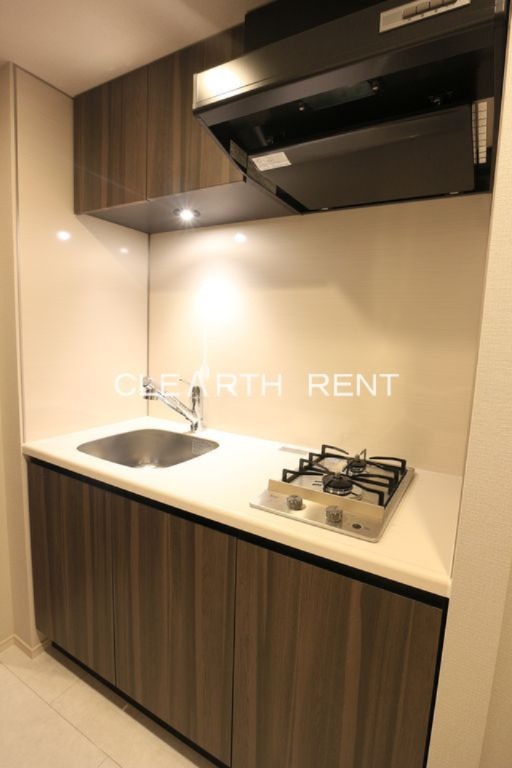 コンシェリア池袋 ＴＨＥ ＲＥＳＩＤＥＮＣＥ ＥＡＳＴ1階 スタイリッュなステンレス製2口ガス/浄水器一体型のハンドシャワー