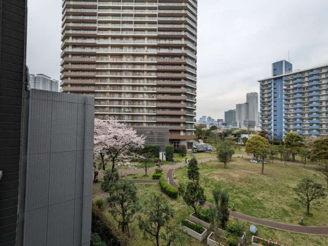 ケーディーエックスレジデンス豊洲431号室 その他