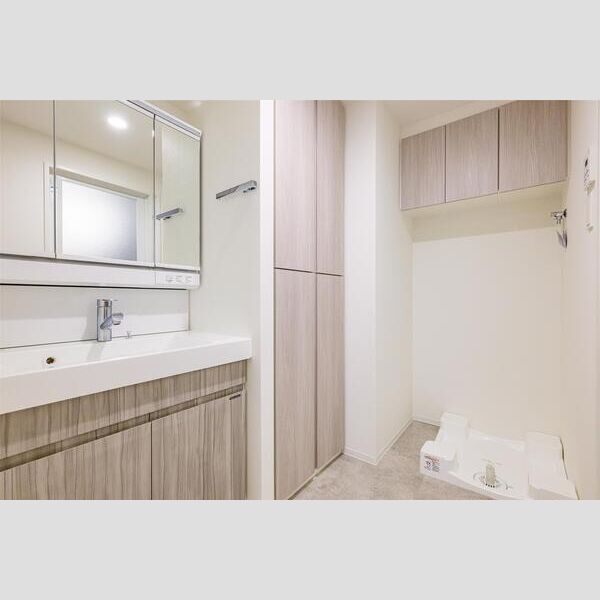 S-RESIDENCE千住大橋204号室 洗面