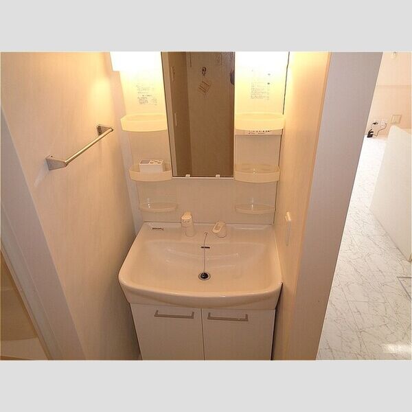 ソフィアコート　弐番館106号室 洗髪洗面化粧台