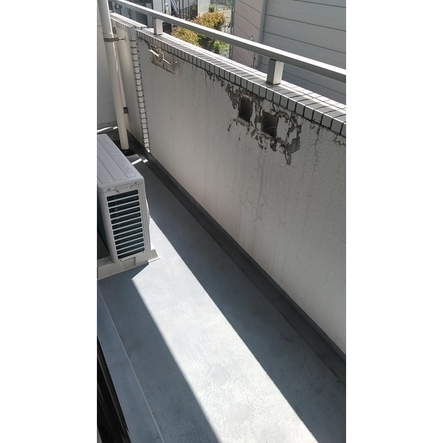 成城ロイヤルマンション0207号室 部屋その他