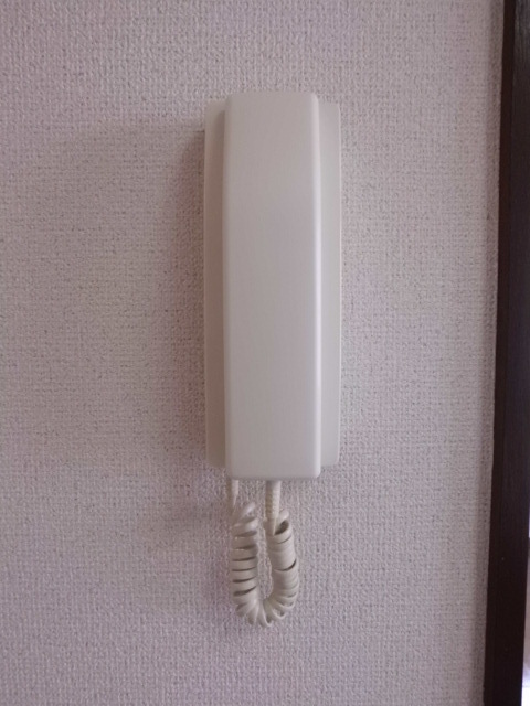 ヒルサイドキクナ0101号室 インターフォン