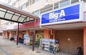 プレミエール綱島 ビッグ・エー 横浜南神大寺団地店