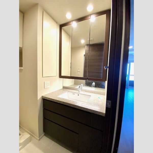 パークシティ大崎 ザ タワー(2020) 2020号室洗髪洗面化粧台