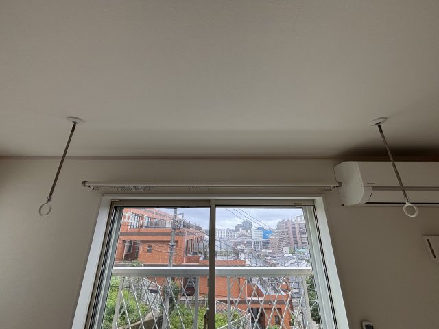 Ｈａｋｕｓｕｉ星川 参考写真