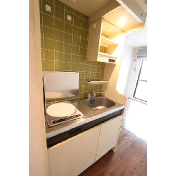 メゾン・ド・プレーヌ0301号室 キッチン