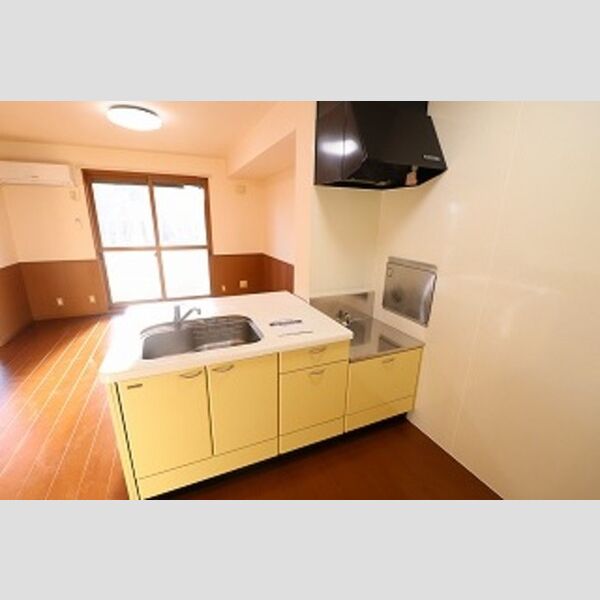 ルヴァン コート　壱番館105号室 キッチン