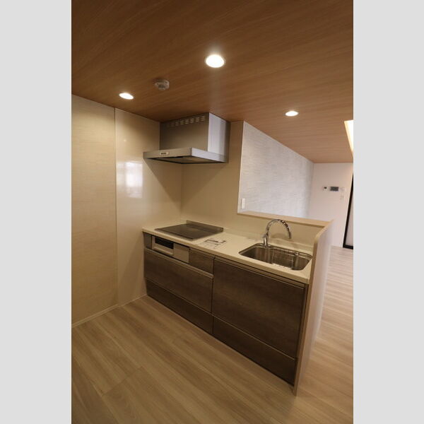 マルシェル館浦和美園205号室 システムキッチン