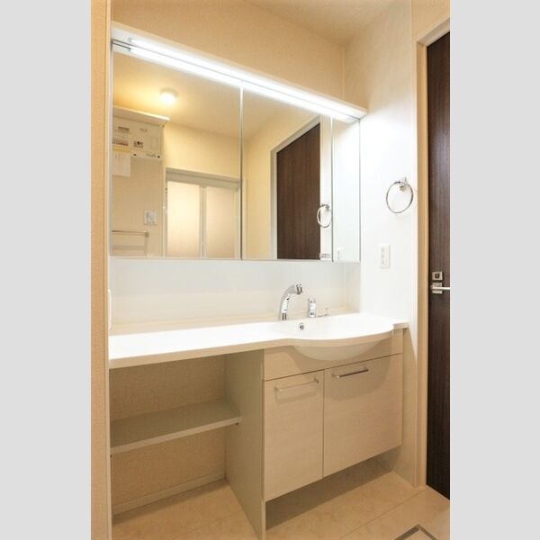 ハイピクチャー　　E棟201号室 洗髪洗面化粧台