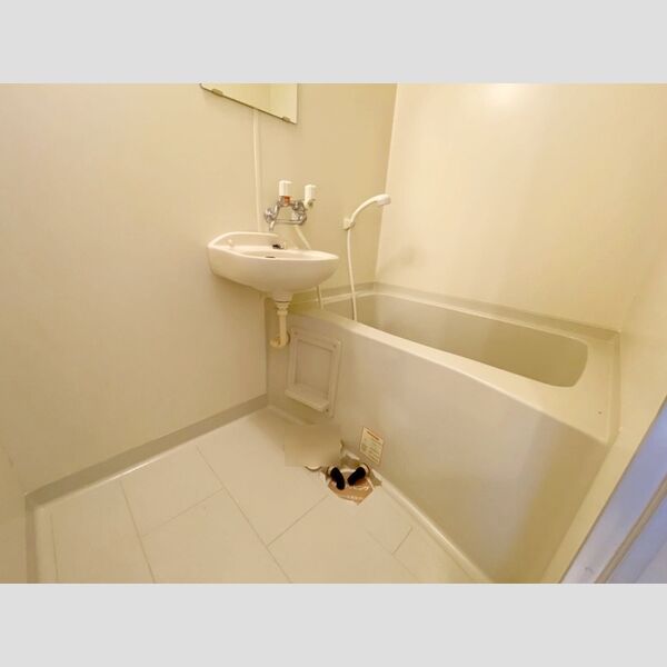 キャッスル多摩川 101号室　浴室