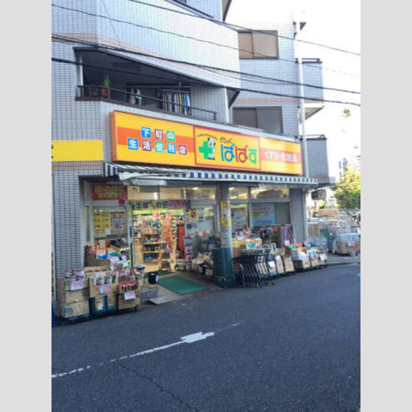 プランドール柴又 どらっぐぱぱす新柴又店(300メートル)