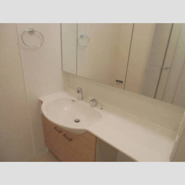 セジュール　チェスナット　A 洗髪洗面化粧台