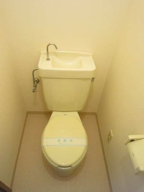 エクセル秋山 落ち着いたトイレです