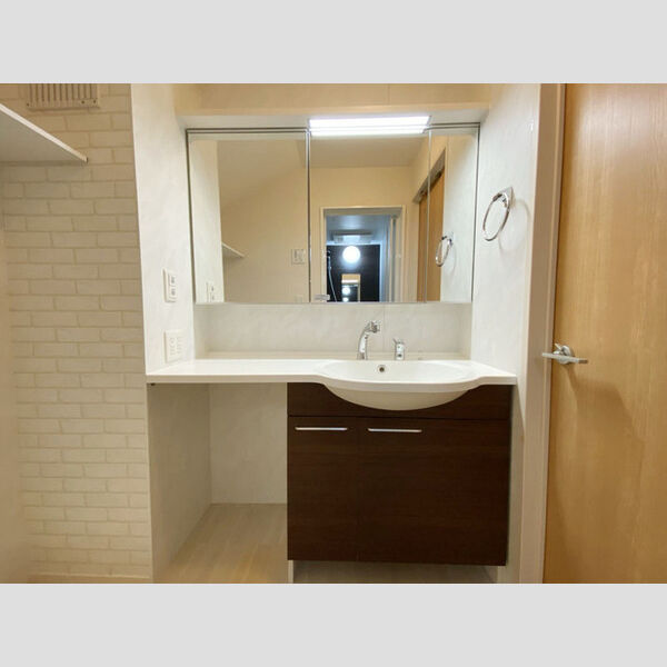 コンフォールアビテ 201号室洗面所