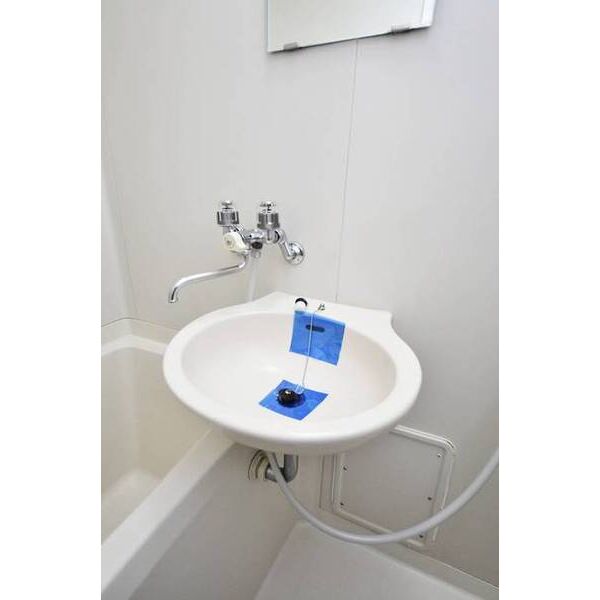 リバーサイドハウス桜台0403号室 洗面