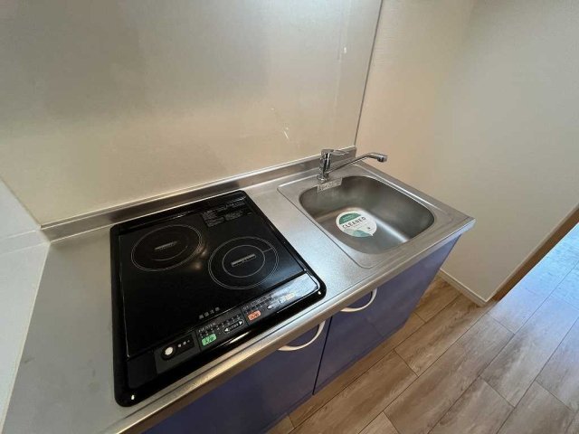 ユナイテッドグロー高田馬場 システムキッチン（2口IHコンロ）