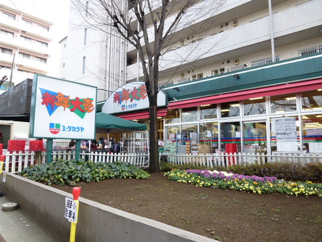 パル宮崎台３０１号室 【デパート】新鮮大売ユータカラヤ宮崎台店まで340ｍ