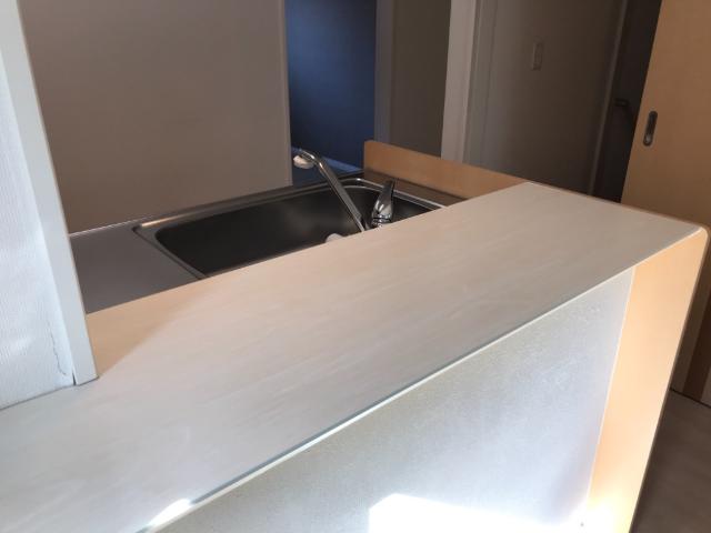 ユニヴァリィ　ミラドールＡ202号室 カウンター（（イメージ）