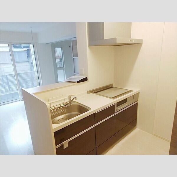 パレス　グランディオーサ108号室 システムキッチン