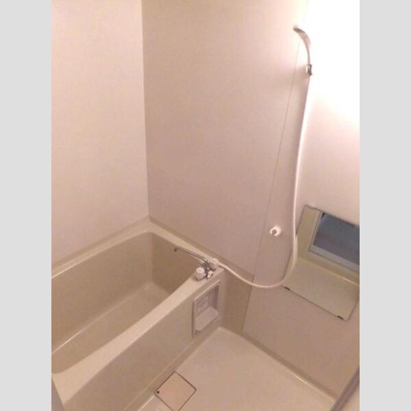 メゾン・ド・カルチェ201号室 浴室