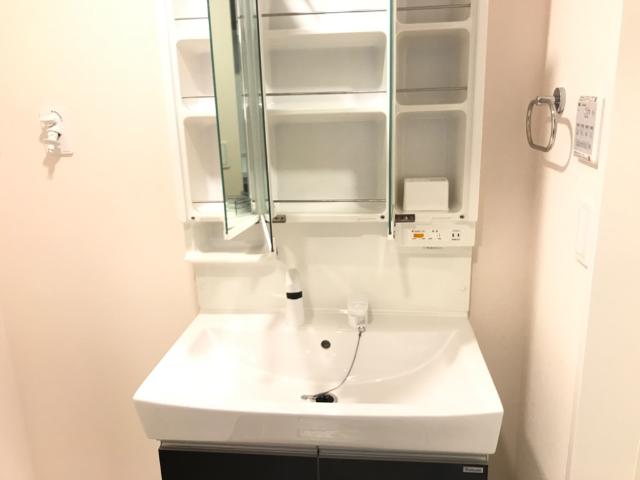 パークサイド大丸103号室 洗面
