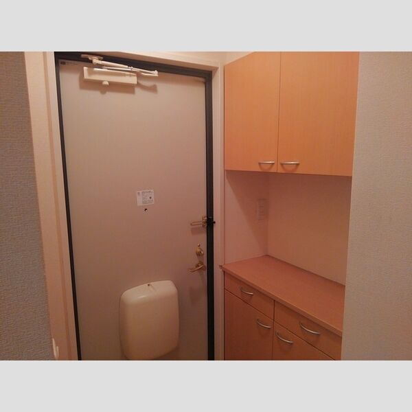 ロワジール　Ⅱ 玄関