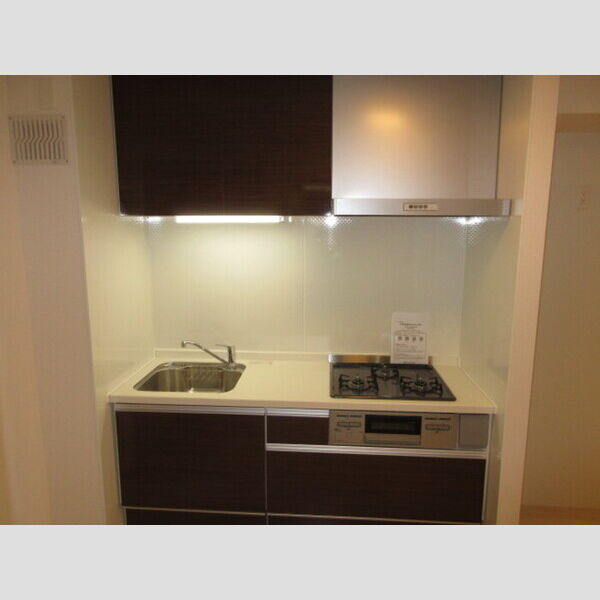 アンジュール大谷口303号室 キッチン流し台