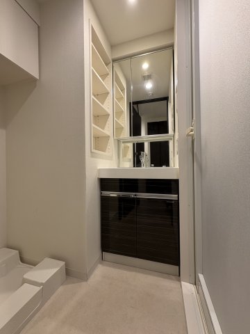 ケーディーエックスレジデンス豊洲703号室 洗面