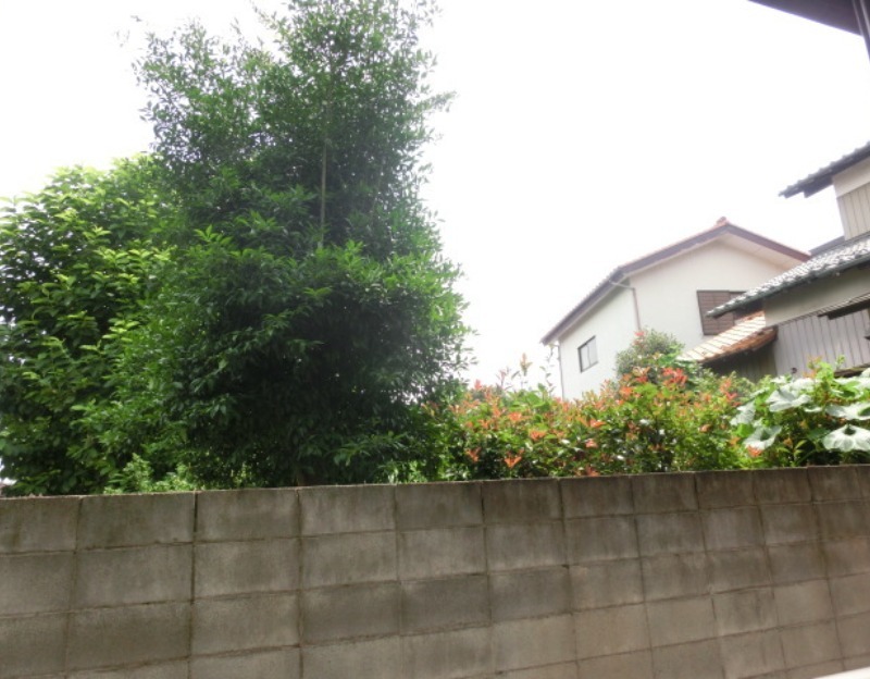 サンパティーク1階 景色