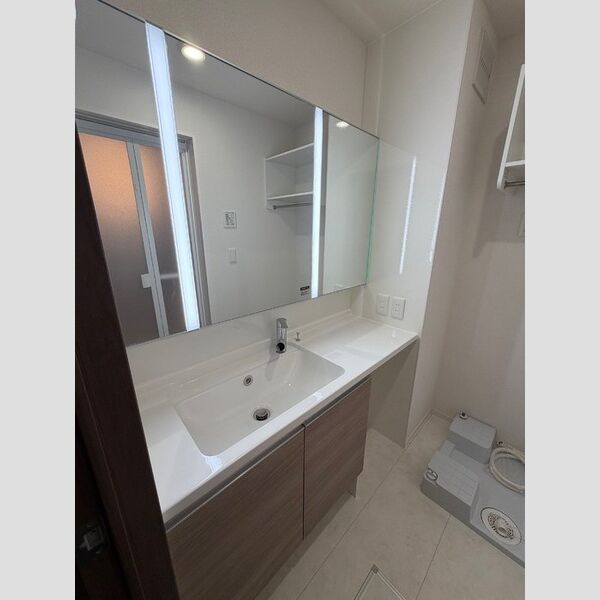 アンスリウム湘南台302号室 洗面所