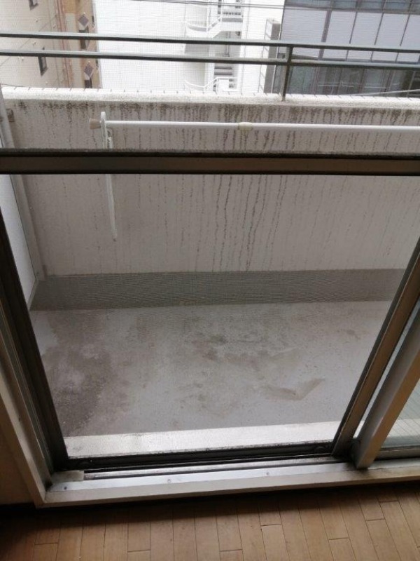 パレ・ドール池袋Ⅲ5階 バルコニー