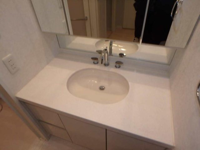 デュオ・スカーラ西麻布タワーＥＡＳＴ 洗面