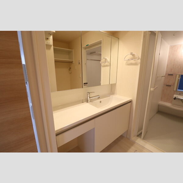 リビングタウン春日201号室 洗髪洗面化粧台　ドレッサータイプ