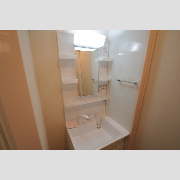 GOLDEN RINGS　12(ゴールデンリングスワンツー)102号室 洗面